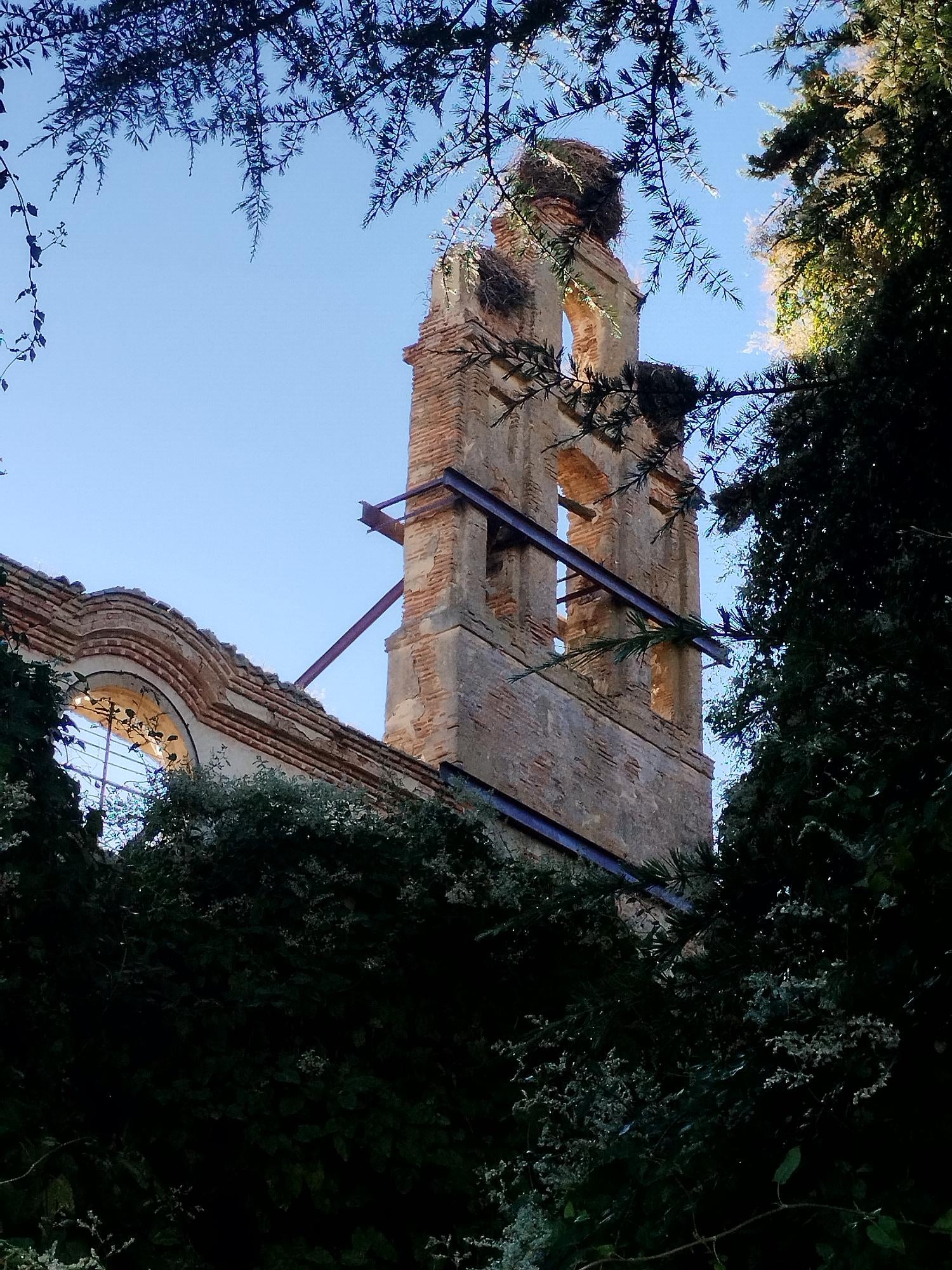 VOX solicita un plan de atención urgente para el convento de San Francisco en Carrión de los Condes VOX solicita un plan de atención urgente para el convento de San Francisco en Carrión de los Condes