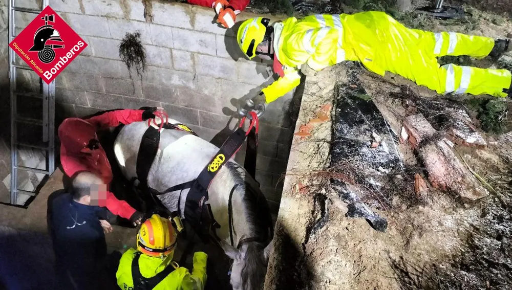 Momento del rescate de la yegua Momento del rescate de la yegua