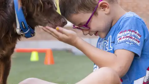 Terapia con animales Terapia con animales