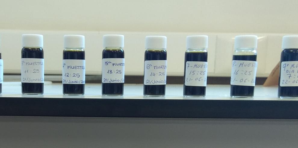 El CITA investiga cómo la jara y el romero junto con el agua termal ayudan a la microbiota de la piel El CITA investiga cómo la jara y el romero junto con el agua termal ayudan a la microbiota de la piel
