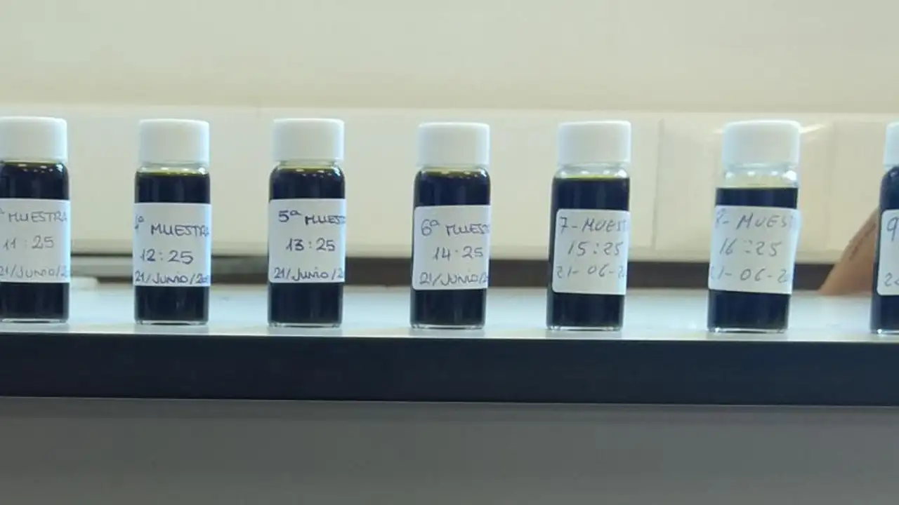 Muestras de la investigación del proyecto Caruso Muestras de la investigación del proyecto Caruso