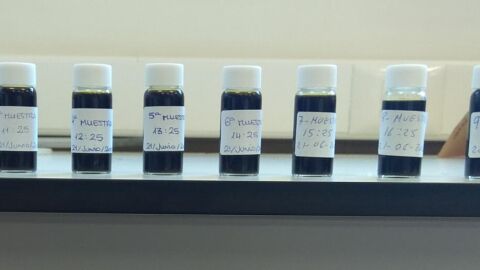 Muestras de la investigaci&oacute;n del proyecto Caruso