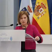 Elena Espinosa, viceportavoz del grupo parlamentario del PSdG-PSOE. EP Elena Espinosa, viceportavoz del grupo parlamentario del PSdG-PSOE. EP
