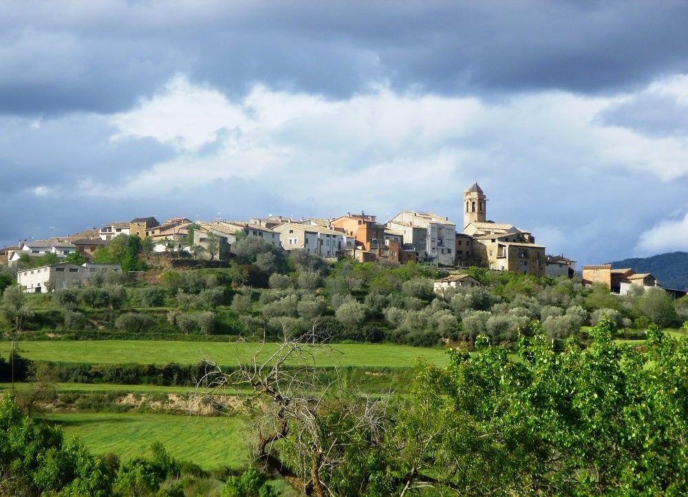 Muere un joven de 29 años atrapado por una excavadora en La Puebla de Fantova Muere un joven de 29 años atrapado por una excavadora en La Puebla de Fantova