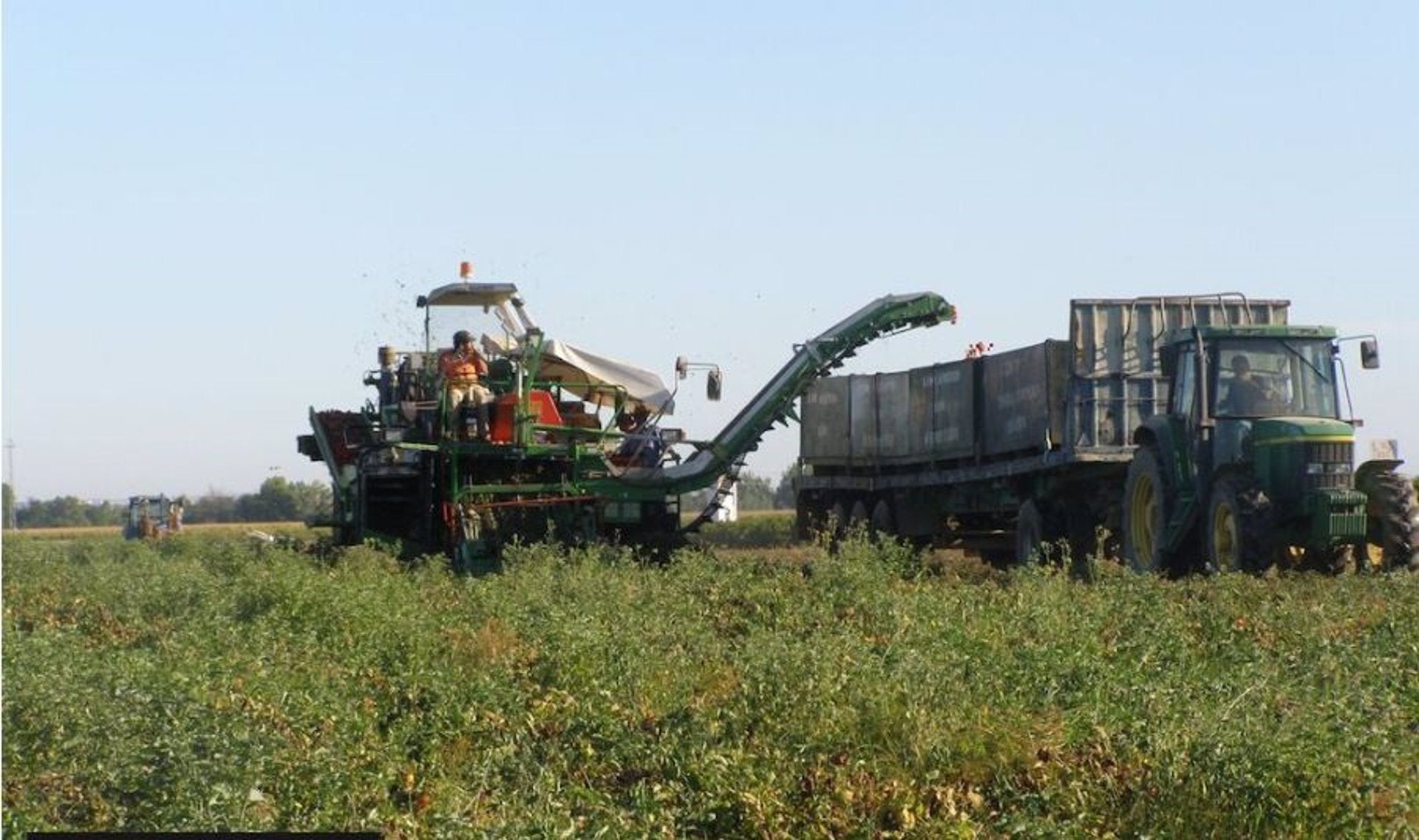 La UCLM y Cooperativas Agro-alimentarias Castilla-La Mancha trabajarán para divulgar el modelo cooperativo La UCLM y Cooperativas Agro-alimentarias Castilla-La Mancha trabajarán para divulgar el modelo cooperativo