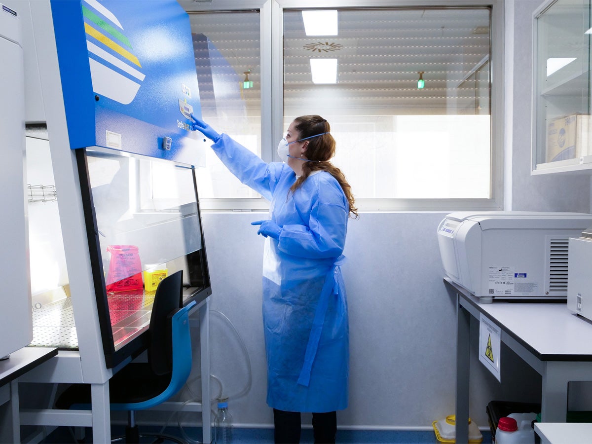 El IDiBE de la UMH de Elche suma a sus recursos un laboratorio de contención biológica nivel 2 El IDiBE de la UMH de Elche suma a sus recursos un laboratorio de contención biológica nivel 2