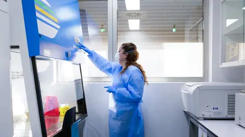 Una de las salas del nuevo laboratorio de contención biológica nivel 2 del IDiBE de la UMH de Elche. Una de las salas del nuevo laboratorio de contención biológica nivel 2 del IDiBE de la UMH de Elche.