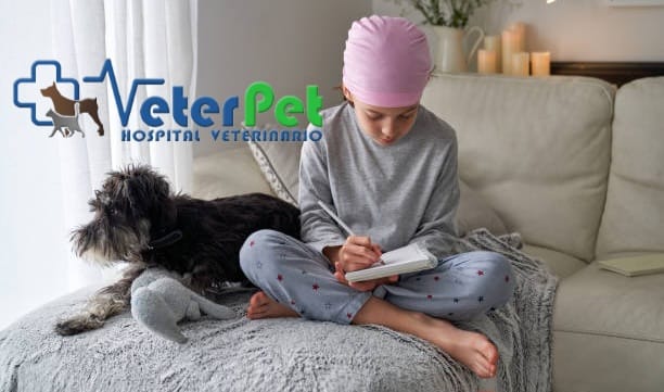 El poder del perro en la lucha contra el cáncer: aliados en terapias de recuperación El poder del perro en la lucha contra el cáncer: aliados en terapias de recuperación