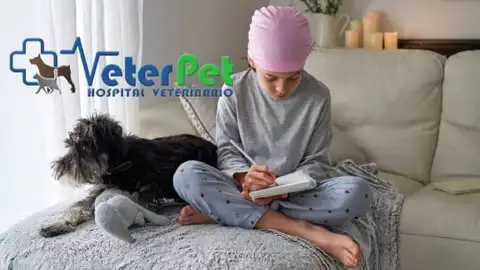 El poder del perro en la lucha contra el cáncer: aliados en terapias de recuperación El poder del perro en la lucha contra el cáncer: aliados en terapias de recuperación