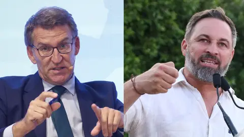 La paradoja de la subida de Vox en las encuestas que beneficiaría a Feijóo para llegar a Moncloa La paradoja de la subida de Vox en las encuestas que beneficiaría a Feijóo para llegar a Moncloa
