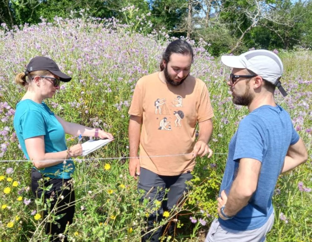 Flora "creada" por el ser humano Flora "creada" por el ser humano
