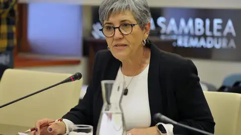 UGT Extremadura aboga por un nuevo sistema de financiación "equitativo" y que esté "por encima de vaivenes políticos" UGT Extremadura aboga por un nuevo sistema de financiación "equitativo" y que esté "por encima de vaivenes políticos"
