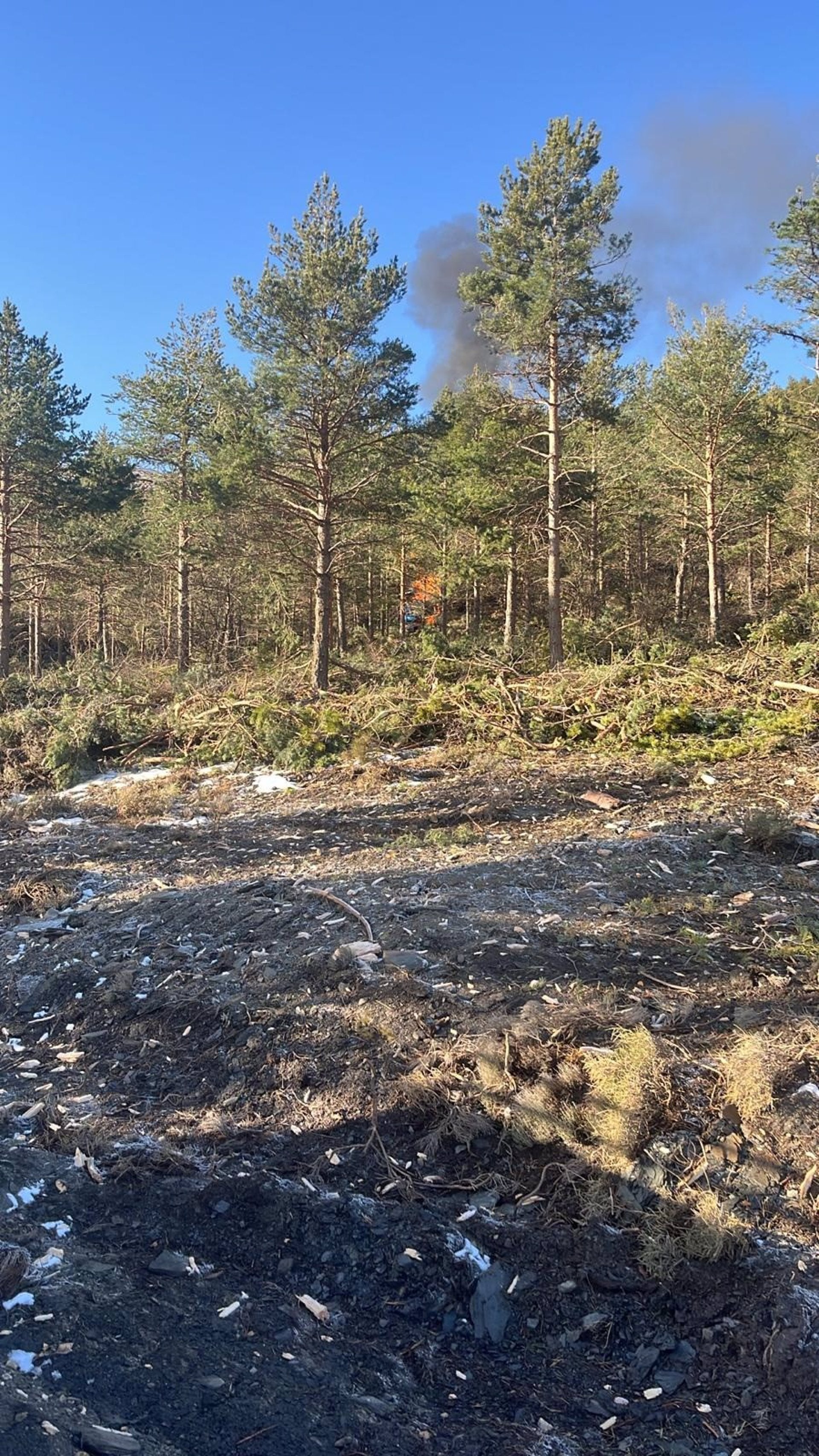 Declarado un incendio forestal en el paraje Montaire de Fiñana Declarado un incendio forestal en el paraje Montaire de Fiñana