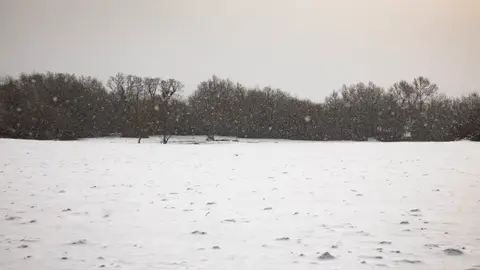 Un paisaje nevado en Becerril de la Sierra (Madrid) Un paisaje nevado en Becerril de la Sierra (Madrid)
