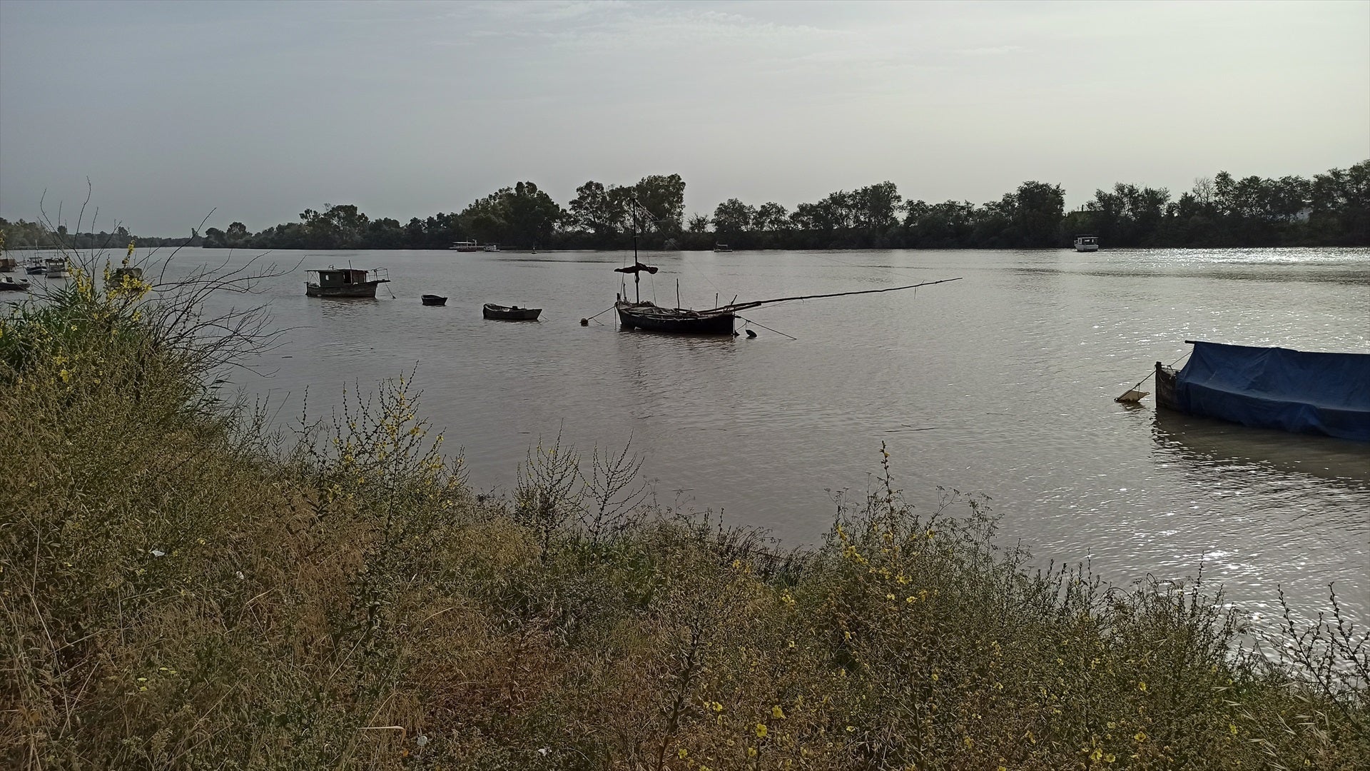 La barriada Guadalquivir en Coria del Río denuncia llevar décadas viviendo en suelo contaminado La barriada Guadalquivir en Coria del Río denuncia llevar décadas viviendo en suelo contaminado