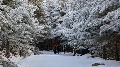 Senderistas en el puerto de Cotos (Madrid) Senderistas en el puerto de Cotos (Madrid)
