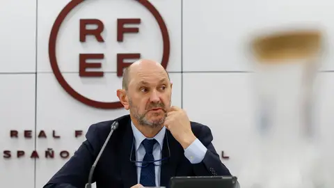 El Supremo estudia este miércoles el recurso de Louzán contra su inhabilitación El Supremo estudia este miércoles el recurso de Louzán contra su inhabilitación