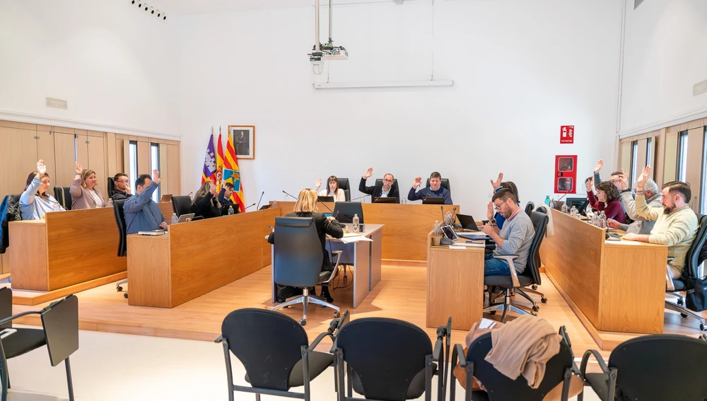 Formentera al día ha abordado los acuerdos del pleno del mes de enero Formentera al día ha abordado los acuerdos del pleno del mes de enero