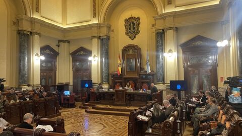 Vista del sal&oacute;n de plenos