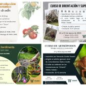 Diputación lanza cursos sobre sensibilización ambiental 