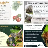 Diputación lanza cursos sobre sensibilización ambiental Diputación lanza cursos sobre sensibilización ambiental