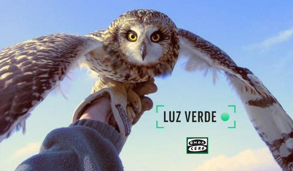 50 años del Centro de Recuperación de Fauna Silvestre de Martioda 50 años del Centro de Recuperación de Fauna Silvestre de Martioda