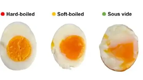 Imágenes del resultado de huevos sometidos a diferentes técnicas de cocción. Esto también lo haces mal: científicos desvelan la técnica para lograr un huevo cocido 'perfecto'