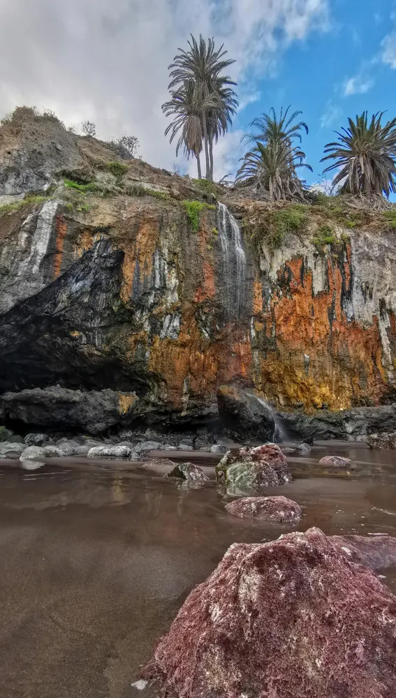 Naturaleza de Tenerife Naturaleza de Tenerife