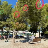 Presencia de procesionaria en parque de juegos para personas adultas en Polop Presencia de procesionaria en parque de juegos para personas adultas en Polop