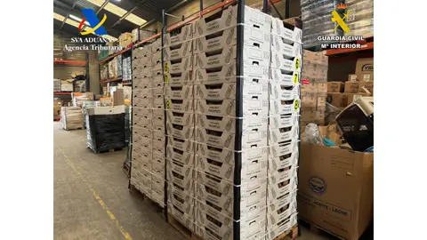 Cargamento de piñas del contenedor coca