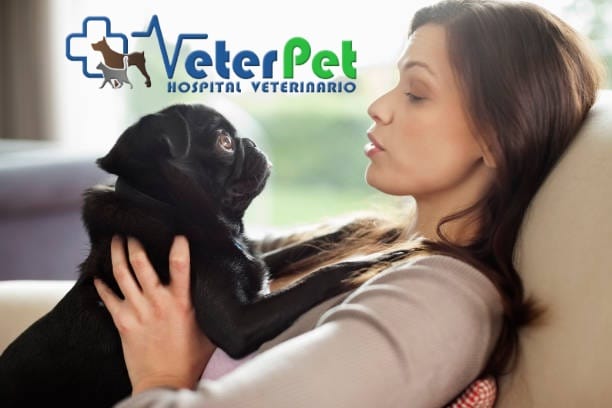 Hablar con tu mascota como si fuera una persona implica empatía y sensibilidad. Lo explica el adiestrador Ángel Osuna Hablar con tu mascota como si fuera una persona implica empatía y sensibilidad. Lo explica el adiestrador Ángel Osuna