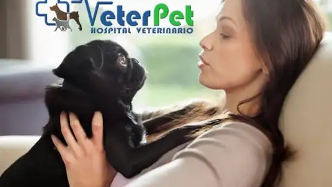 Lenguaje canino: cómo entender el comportamiento de los perros Lenguaje canino: cómo entender el comportamiento de los perros