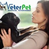 Lenguaje canino: cómo entender el comportamiento de los perros