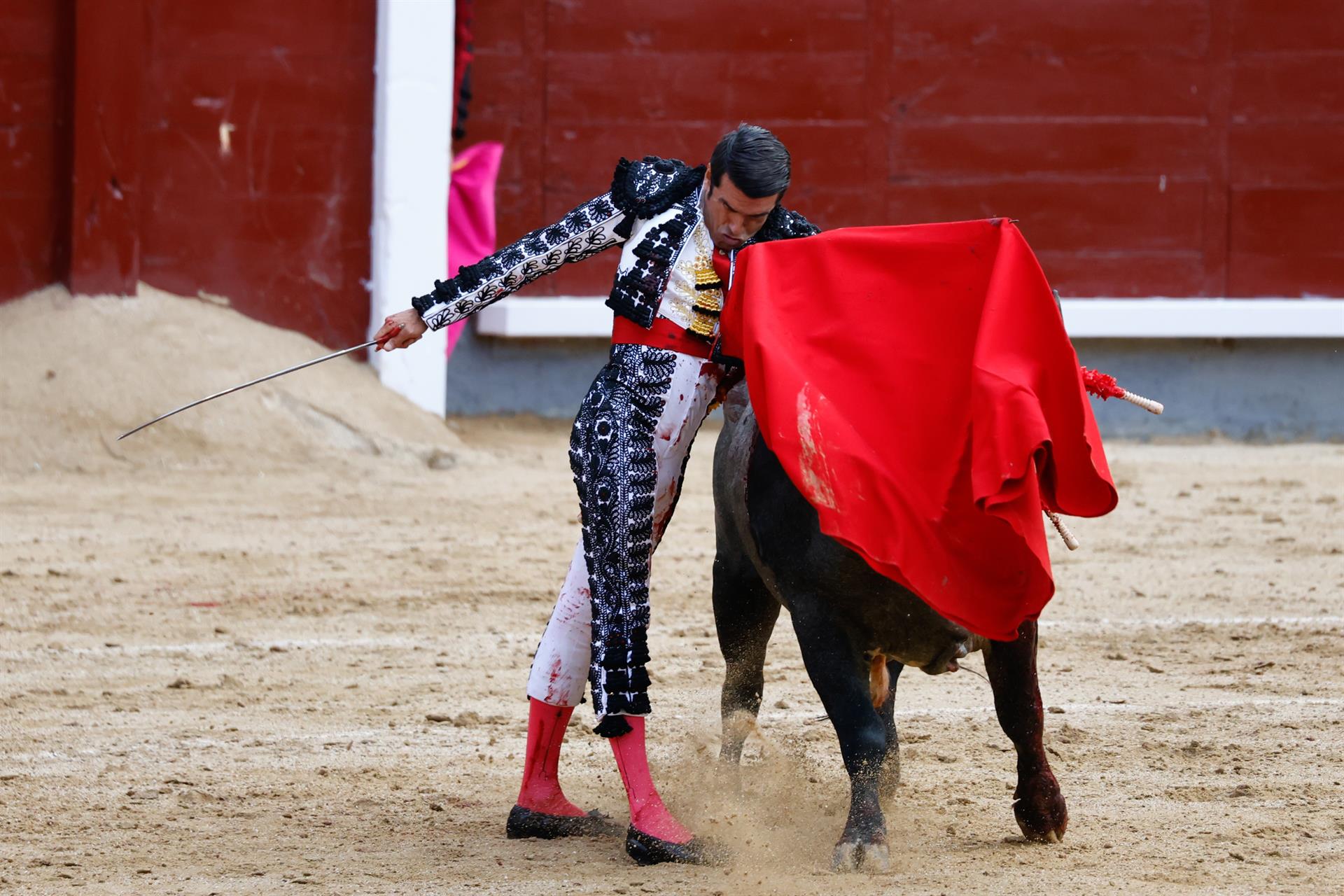 El Premio Nacional de Tauromaquia 2024 que convocan el Senado y regiones como Extremadura se falla este martes en Toledo El Premio Nacional de Tauromaquia 2024 que convocan el Senado y regiones como Extremadura se falla este martes en Toledo