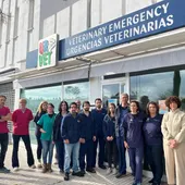 veterinarios veterinarios