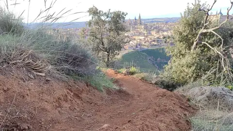 ARBA Toledo denuncia 'destrucción vegetal ilegal' en el Valle ARBA Toledo denuncia 'destrucción vegetal ilegal' en el Valle