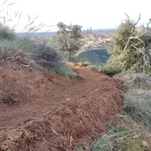 ARBA Toledo denuncia 'destrucción vegetal ilegal' en el Valle ARBA Toledo denuncia 'destrucción vegetal ilegal' en el Valle