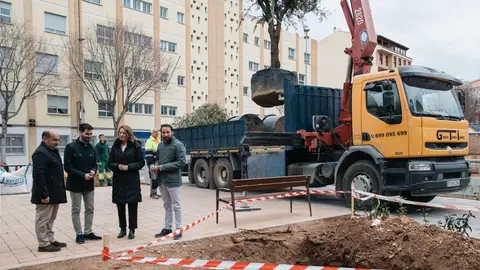 Castelló incorpora una treintena de árboles en la plaza Forn del Pla Castelló incorpora una treintena de árboles en la plaza Forn del Pla