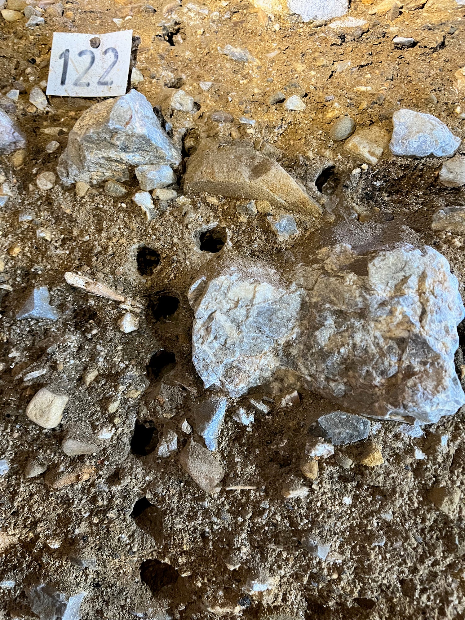 Recuperan ADN humano y animal en el sedimento de la cueva de El Mirón Recuperan ADN humano y animal en el sedimento de la cueva de El Mirón