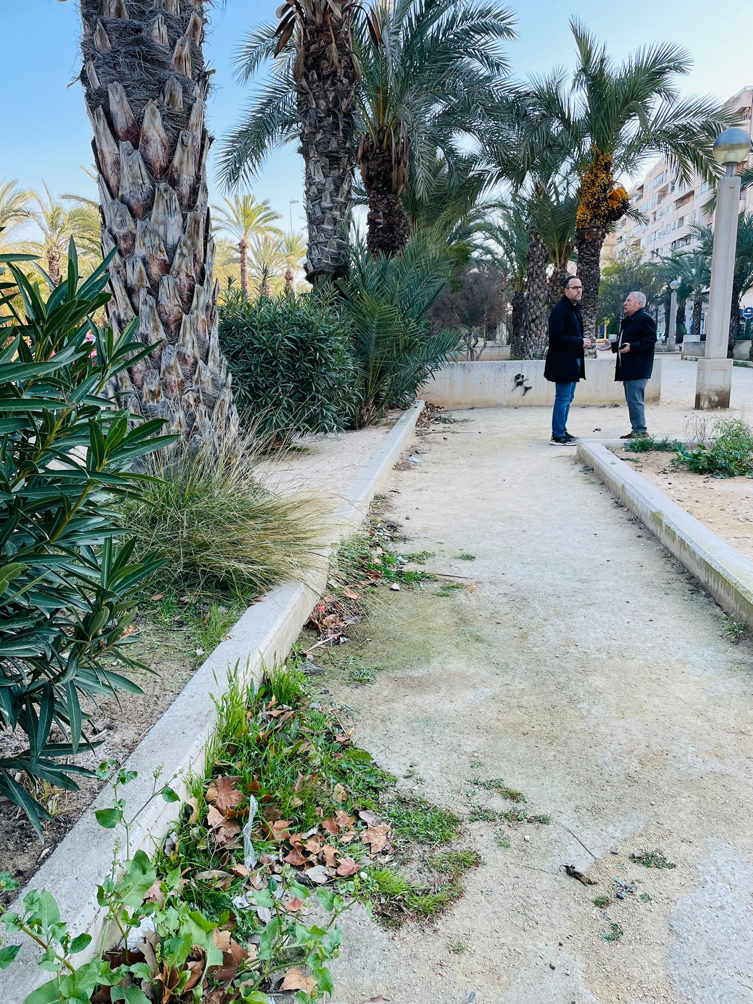 El PSOE de Elche denuncia la falta de mantenimiento de la plaza de Altabix y del paseo central de la avenida de la Universidad El PSOE de Elche denuncia la falta de mantenimiento de la plaza de Altabix y del paseo central de la avenida de la Universidad