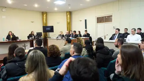 Las forenses destacan la "gran violencia" del crimen de Liaño y descartan patología mental "grave" del acusado Las forenses destacan la "gran violencia" del crimen de Liaño y descartan patología mental "grave" del acusado