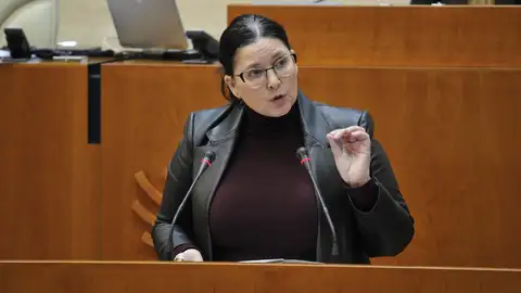 La diputada del Grupo Socialista Marisol Mateos, durante su intervención en la sesión plenaria de la Asamblea de Extremadura. La diputada del Grupo Socialista Marisol Mateos, durante su intervención en la sesión plenaria de la Asamblea de Extremadura.