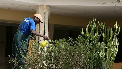 Un trabajador extranjero trabajando. Foto de archivo Un trabajador extranjero trabajando. Foto de archivo