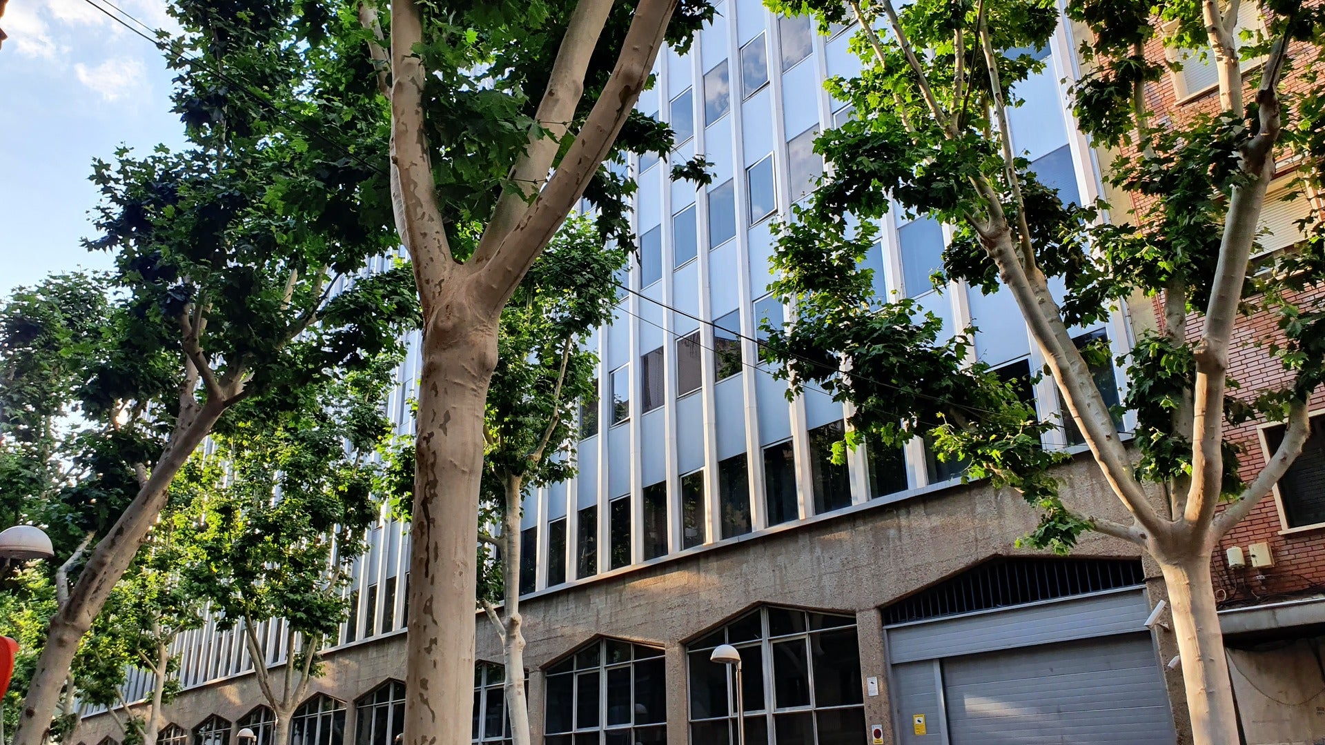 Cañizares propone a la Junta construir vivienda pública en el edificio de Servicios Múltiples que pronto quedará vacío Cañizares propone a la Junta construir vivienda pública en el edificio de Servicios Múltiples que pronto quedará vacío