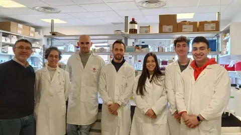 Avances desde Albacete en un nuevo antitumoral que potencia el efecto de la radioterapia Avances desde Albacete en un nuevo antitumoral que potencia el efecto de la radioterapia