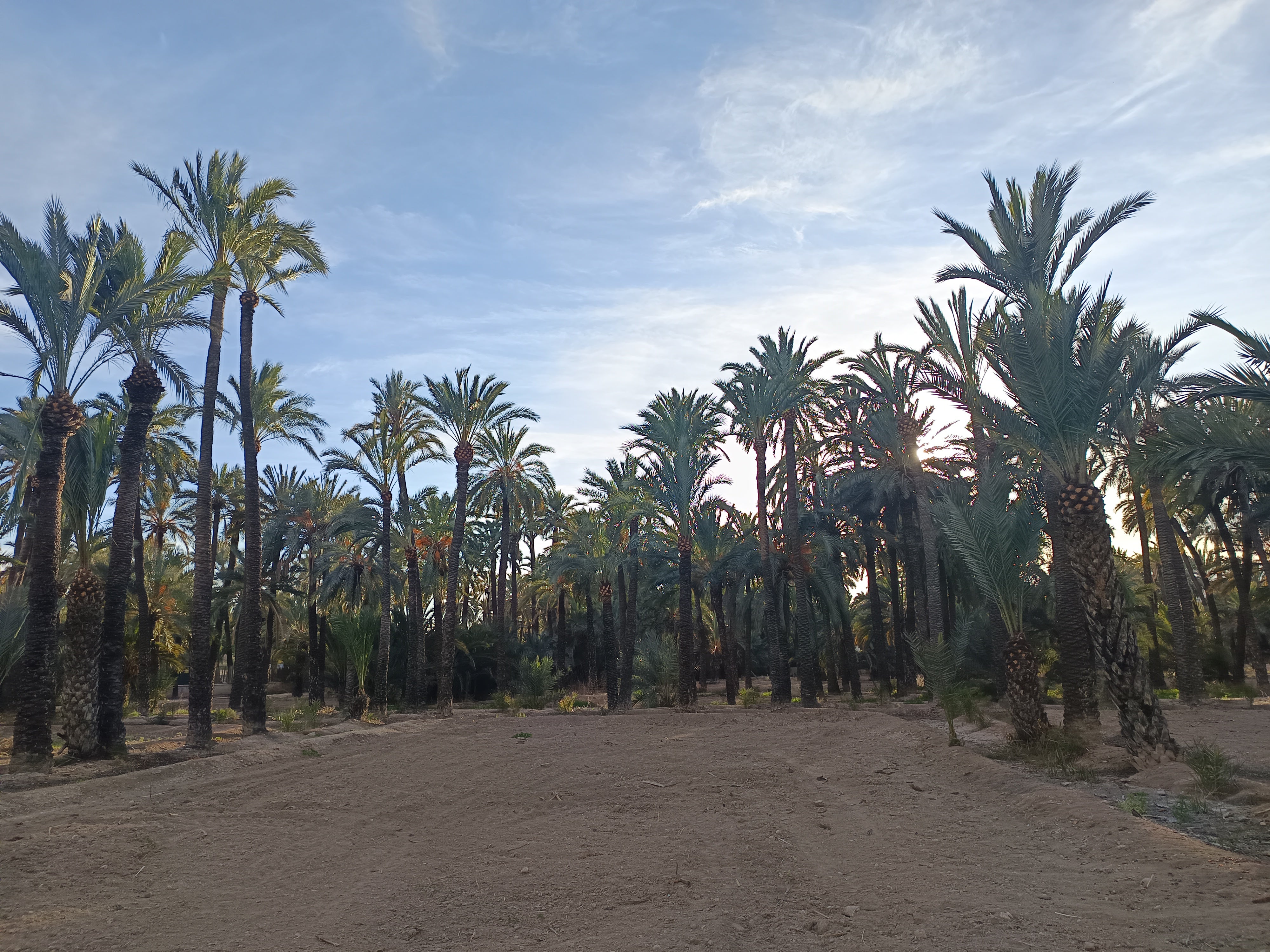 Elche, Crevillent y Santa Pola afrontan el ecuador del mes de febrero con sol y el termómetro por encima de los 20 grados Elche, Crevillent y Santa Pola afrontan el ecuador del mes de febrero con sol y el termómetro por encima de los 20 grados