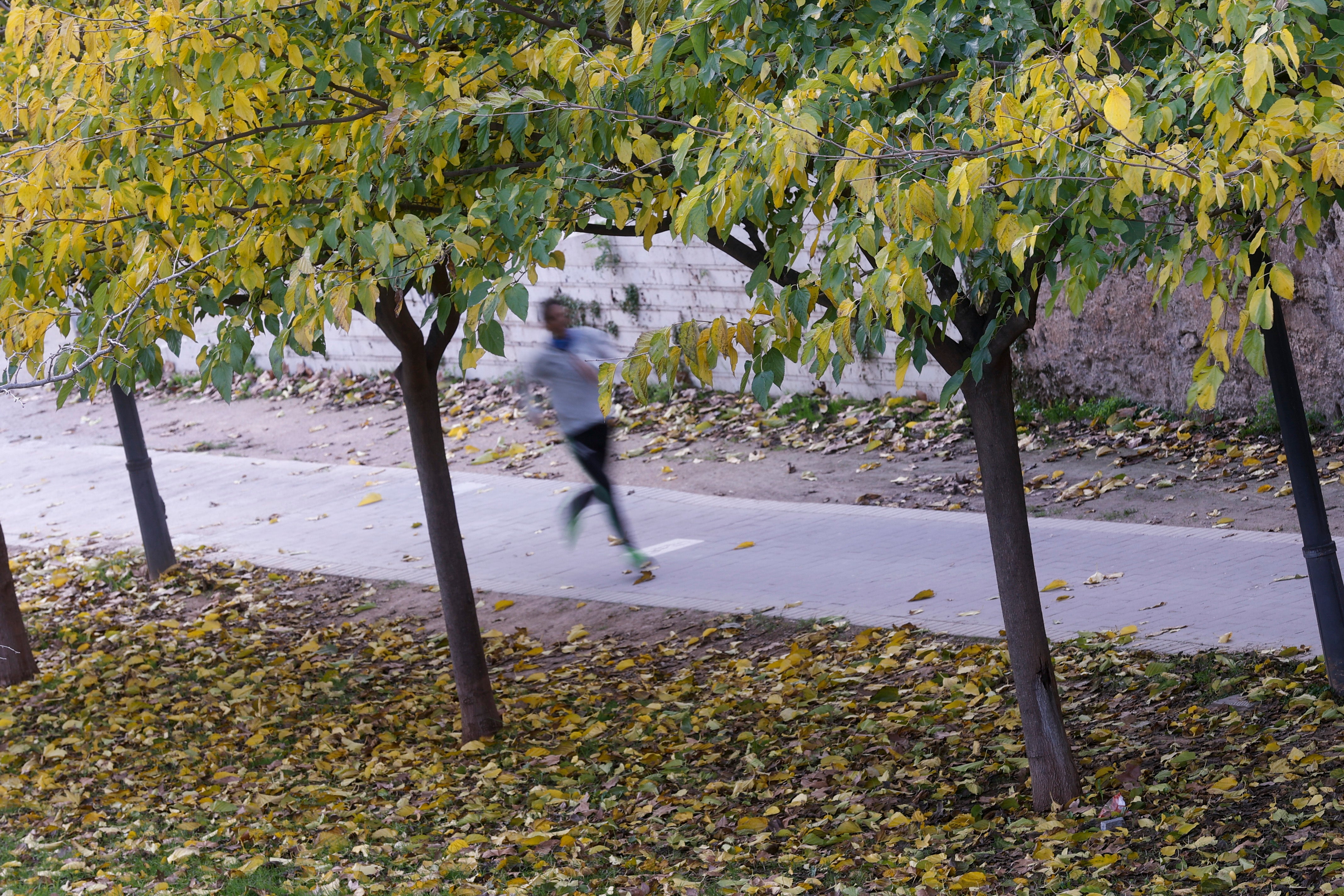 La semana arranca en la Comunitat con cielo poco nuboso y temperaturas primaverales La semana arranca en la Comunitat con cielo poco nuboso y temperaturas primaverales