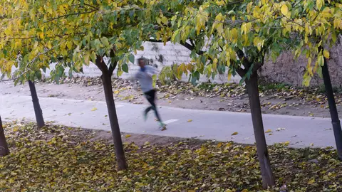 Un corredor hace ejercicio en el jardín del Turia de València en una día nublado. Un corredor hace ejercicio en el jardín del Turia de València en una día nublado.