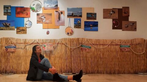 'El barrio entre el mar y la arena': una exposici&oacute;n sobre el chorlitejo patinegro