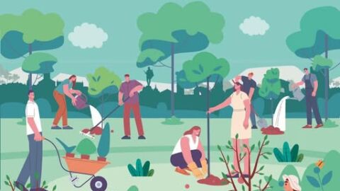 Cartel de la plantaci&oacute;n de &aacute;rboles en Alcal&aacute; de Henares 